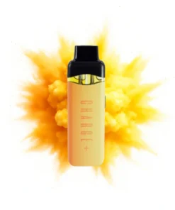 Charge Bars 2g Disposable Dual Chamber – Banana Runtz + Orange Cream Soda